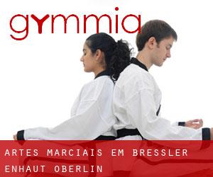 Artes marciais em Bressler-Enhaut-Oberlin