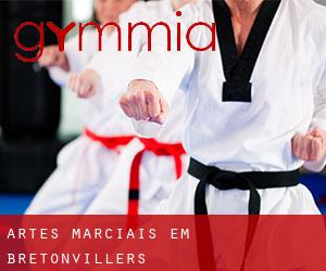 Artes marciais em Bretonvillers