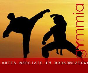 Artes marciais em Broadmeadows