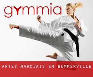 Artes marciais em Bummerville