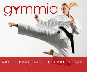 Artes marciais em Carl (Texas)