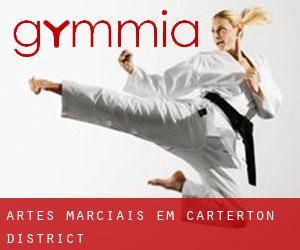 Artes marciais em Carterton District