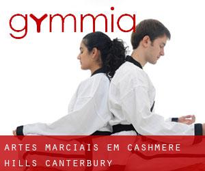 Artes marciais em Cashmere Hills (Canterbury)