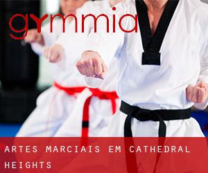 Artes marciais em Cathedral Heights