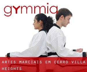 Artes marciais em Cerro Villa Heights