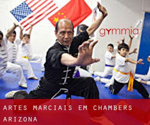 Artes marciais em Chambers (Arizona)