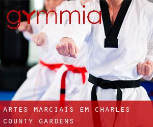 Artes marciais em Charles County Gardens