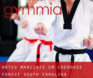 Artes marciais em Cherokee Forest (South Carolina)