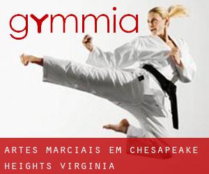 Artes marciais em Chesapeake Heights (Virginia)