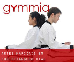 Artes marciais em Christianburg (Utah)