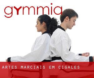 Artes marciais em Cigales