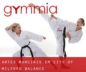 Artes marciais em City of Milford (balance)