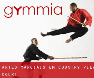 Artes marciais em Country View Court