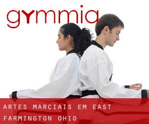Artes marciais em East Farmington (Ohio)