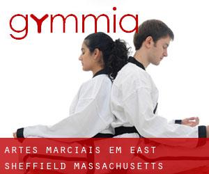 Artes marciais em East Sheffield (Massachusetts)