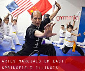 Artes marciais em East Springfield (Illinois)
