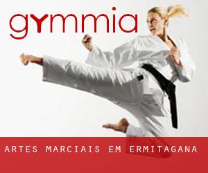 Artes marciais em Ermitagaña