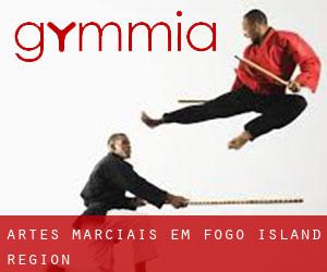 Artes marciais em Fogo Island Region