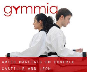 Artes marciais em Fonfría (Castille and León)