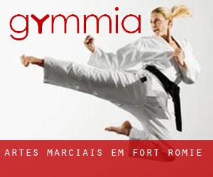 Artes marciais em Fort Romie
