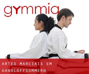 Artes marciais em Gangloffsömmern