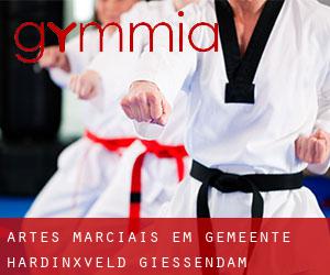 Artes marciais em Gemeente Hardinxveld-Giessendam