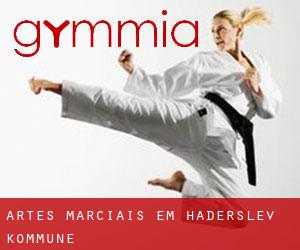 Artes marciais em Haderslev Kommune