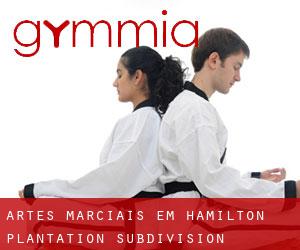 Artes marciais em Hamilton Plantation Subdivision
