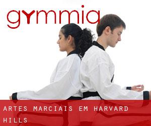 Artes marciais em Harvard Hills