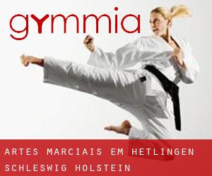 Artes marciais em Hetlingen (Schleswig-Holstein)