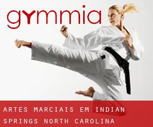 Artes marciais em Indian Springs (North Carolina)