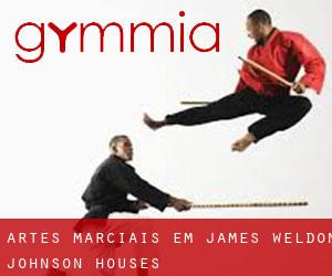 Artes marciais em James Weldon Johnson Houses