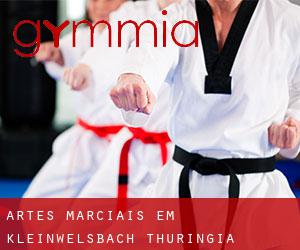 Artes marciais em Kleinwelsbach (Thuringia)