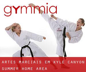 Artes marciais em Kyle Canyon Summer Home Area