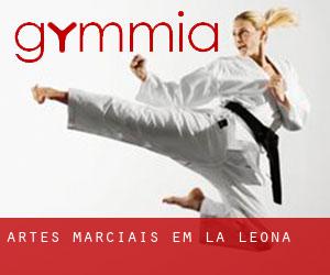 Artes marciais em La Leona