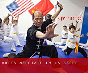 Artes marciais em La Sarre