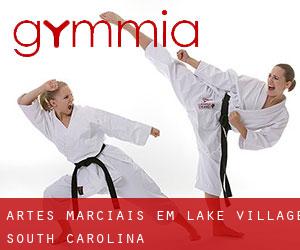 Artes marciais em Lake Village (South Carolina)