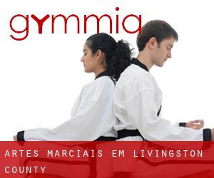 Artes marciais em Livingston County