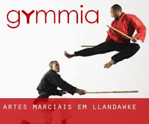 Artes marciais em Llandawke