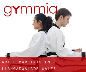 Artes marciais em Llangadwaladr (Wales)
