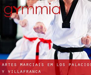 Artes marciais em Los Palacios y Villafranca