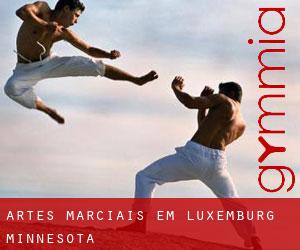 Artes marciais em Luxemburg (Minnesota)