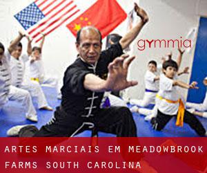 Artes marciais em Meadowbrook Farms (South Carolina)