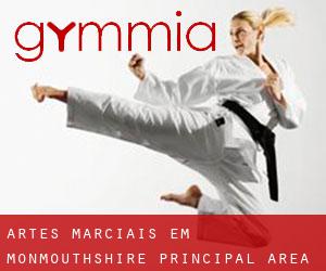 Artes marciais em Monmouthshire principal area