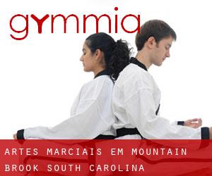 Artes marciais em Mountain Brook (South Carolina)