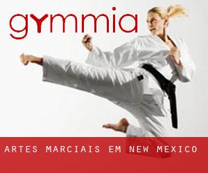 Artes marciais em New Mexico