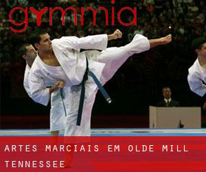 Artes marciais em Olde Mill (Tennessee)