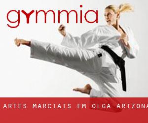 Artes marciais em Olga (Arizona)