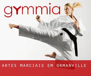 Artes marciais em Ormanville