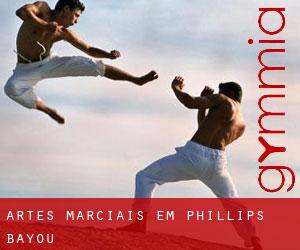 Artes marciais em Phillips Bayou